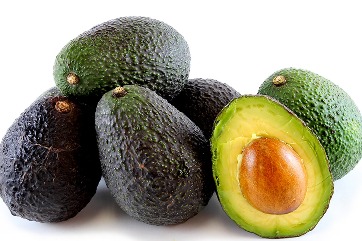 AVOCADO