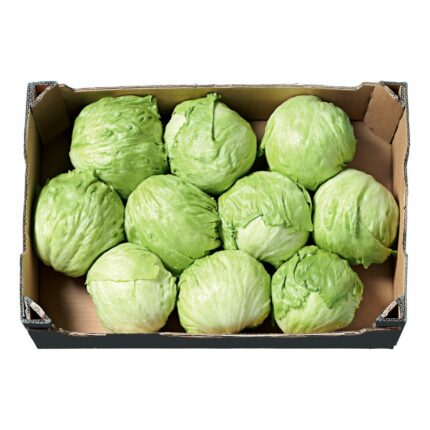ICEBERG CONFEZIONATO CAT.1 CAL.NC