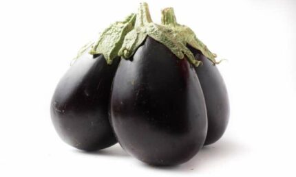 MELANZANA NERA OR.ITA CAT.1°
