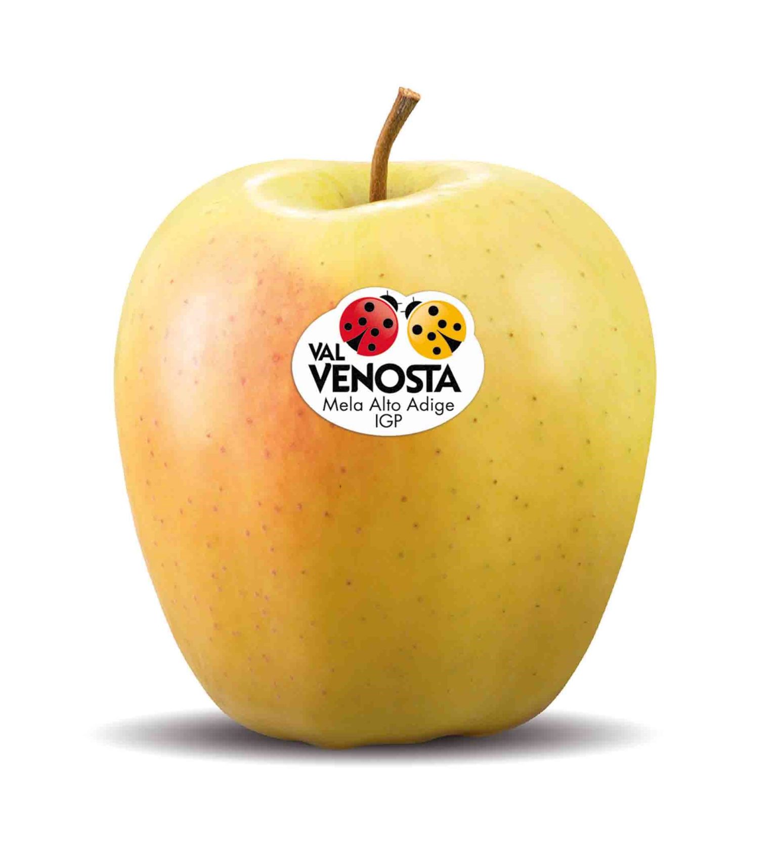 MELE GOLDEN VALVENOSTA