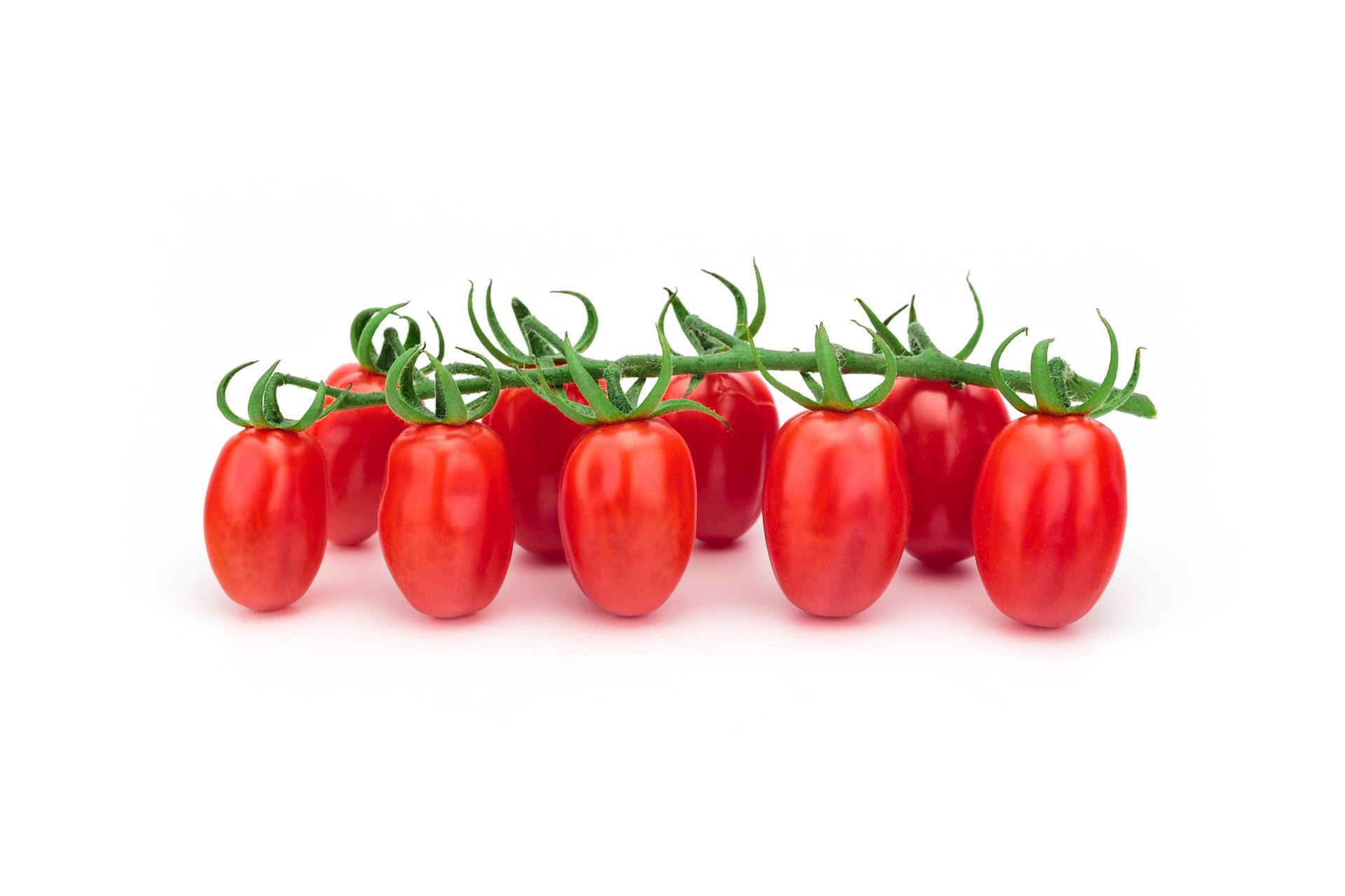 POMODORO DATTERINO ROSSO