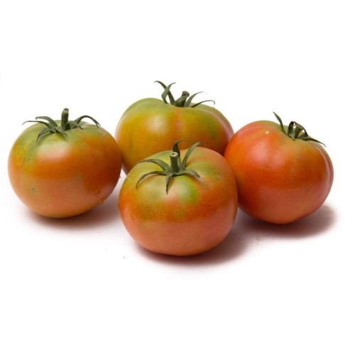 POMODORO TONDO LISCIO