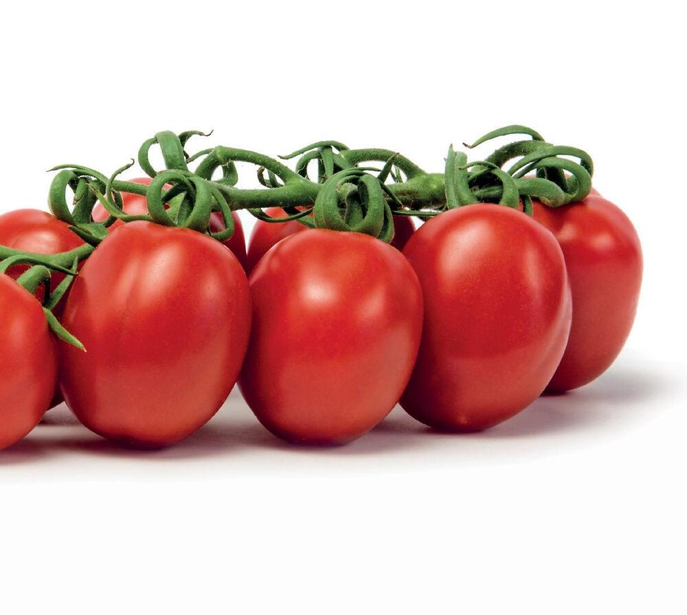 pomodoro_piccadilly-1000x896