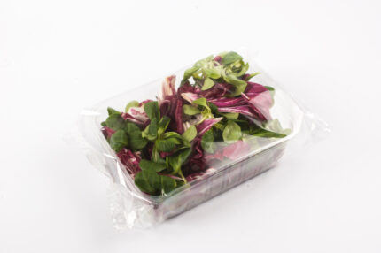 INSALATA CHIOGGIA & SONGINO VASCHETTA GR.120